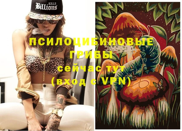 бошки Михайловск