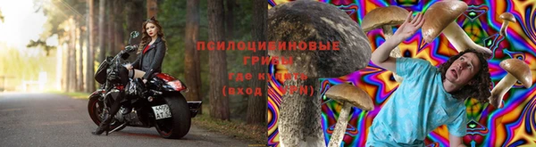 дмт Михайлов