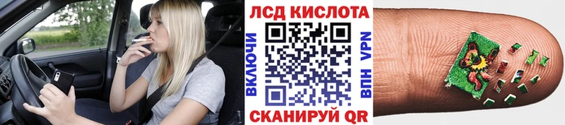 Марки N-bome 1,8мг  Купить где  Пошехонье 