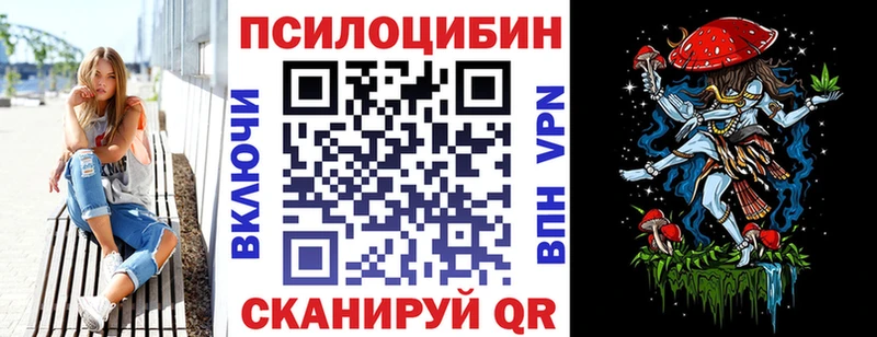Купить  Пошехонье  Псилоцибиновые грибы GOLDEN TEACHER 